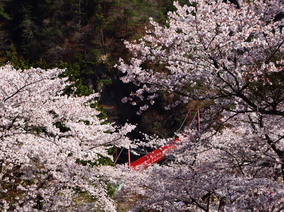 Yamatsuriyama Park-矢祭町必去景点