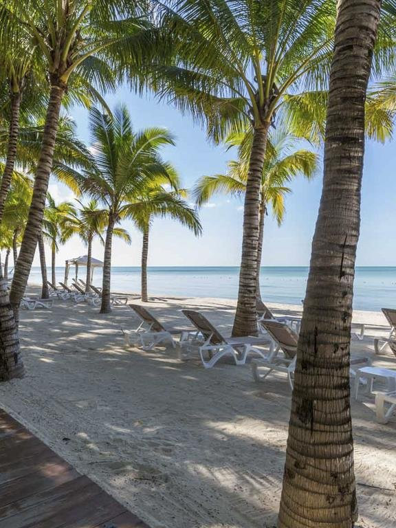 AAK-BAL Campeche主图