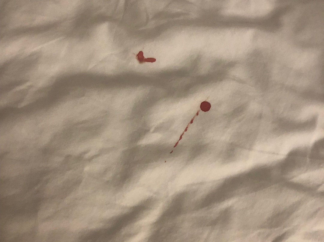 Comfort Inn Oxford主图