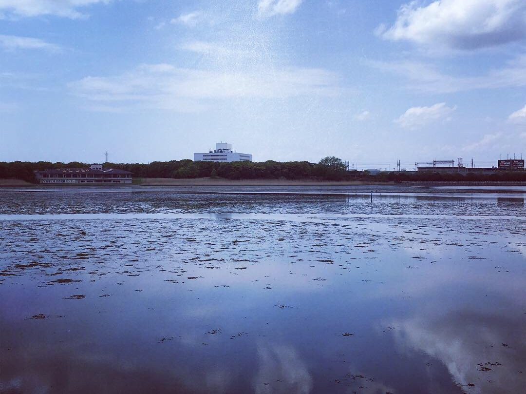 Yatsu Tidal Flats-习志野市必去景点