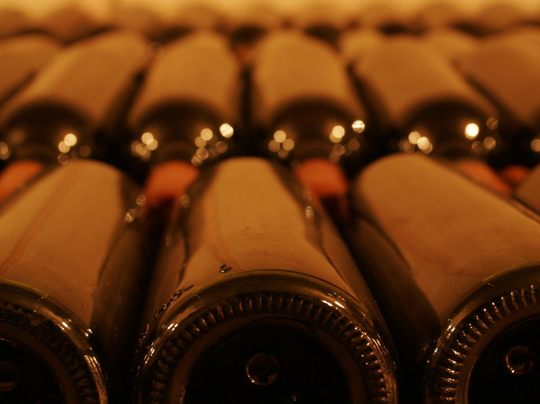 Tours of Moldova-基希讷乌必去景点