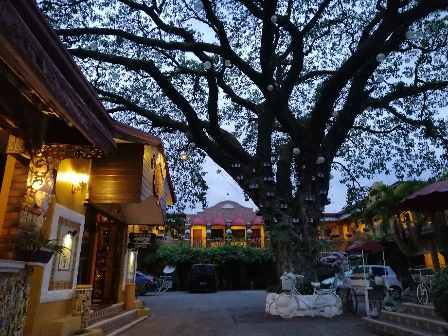 Asiaten Hotel-官方