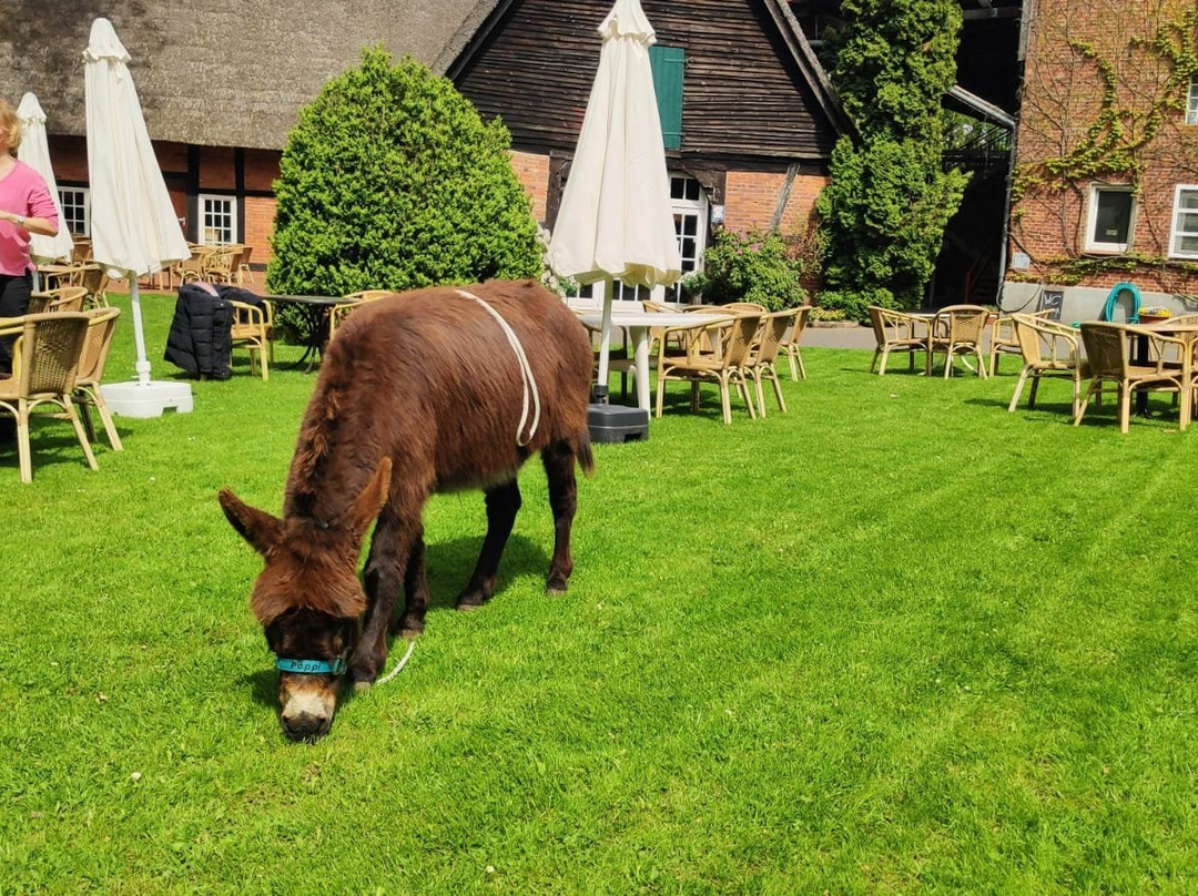 Sonja Scholling-Oldendorf必去景点