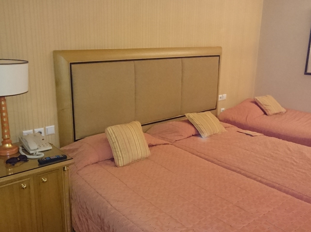 迪瓦尼拉里萨宫殿酒店主图