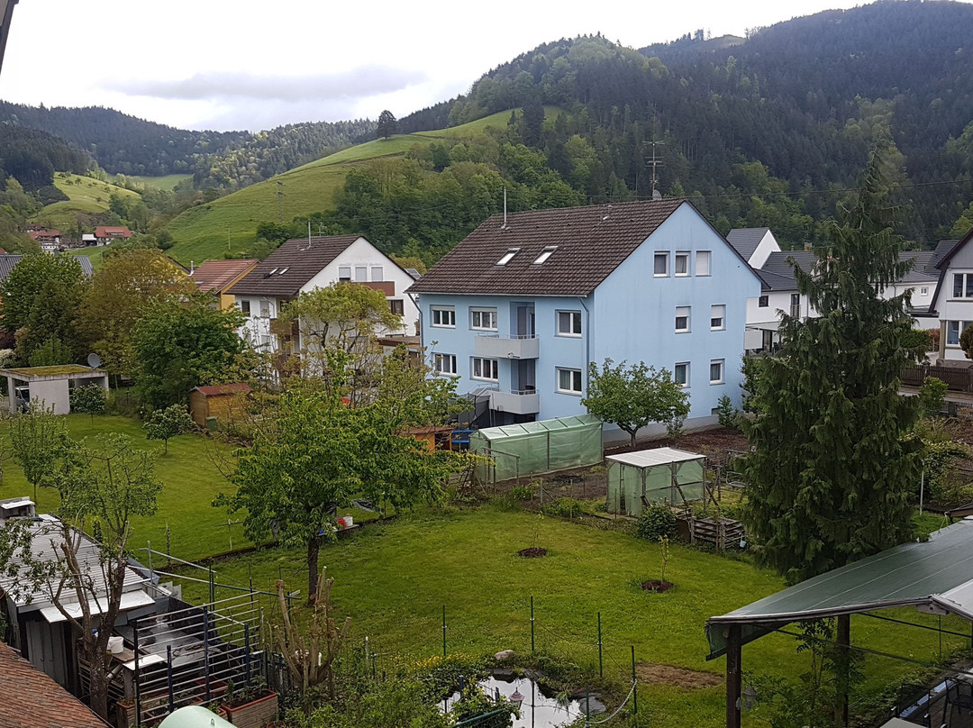 Gasthaus zur Blume主图