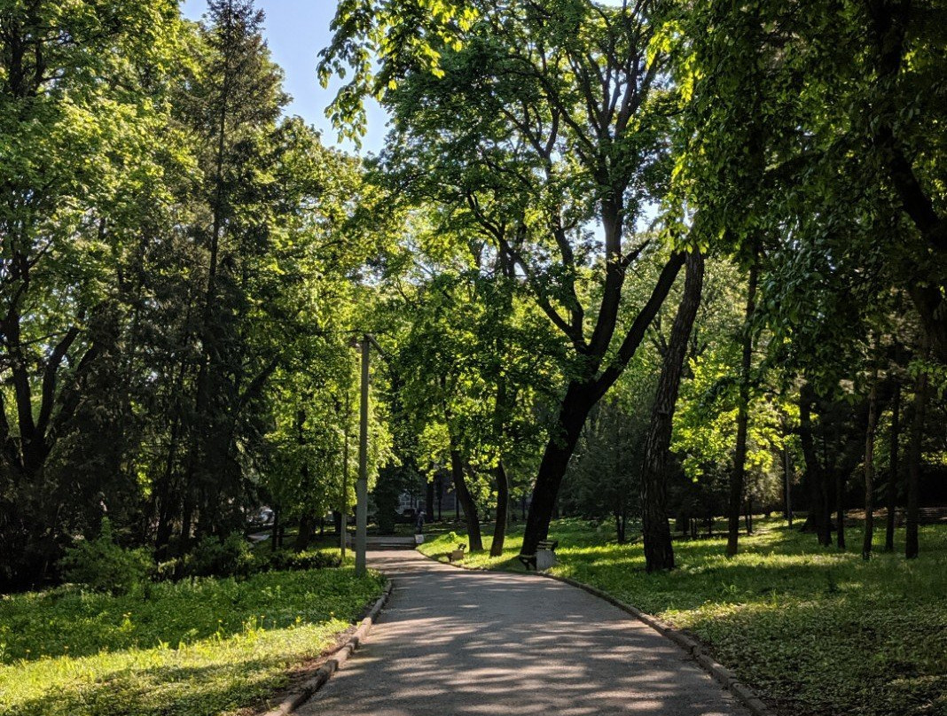 Shevchenko Park of Leisure and Culture景点图片
