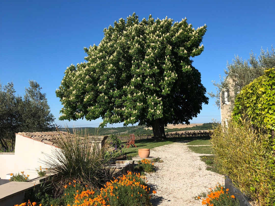 Domaine l'Ancienne Ecole-Vinsobres必去景点