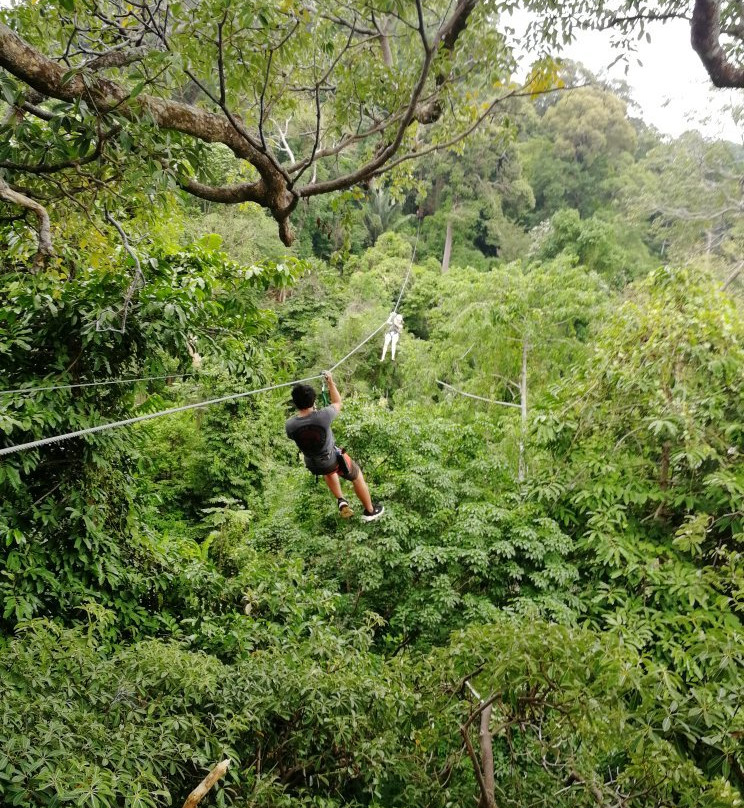 Cable Jungle Adventure景点图片