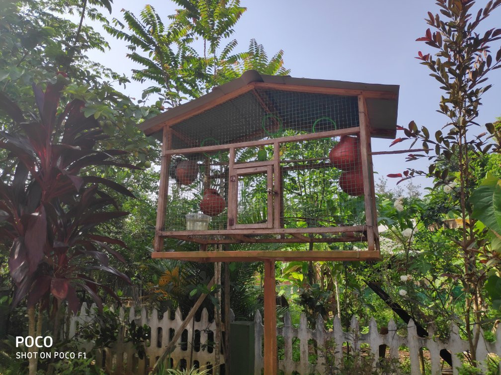 Green View Wayanad主图