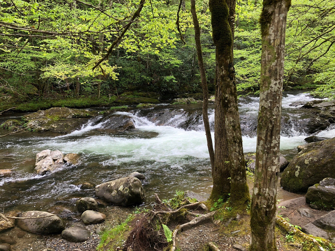 Upper Tremont Road in Great Smoky Mountains National Park-大雾山国家公园必去景点