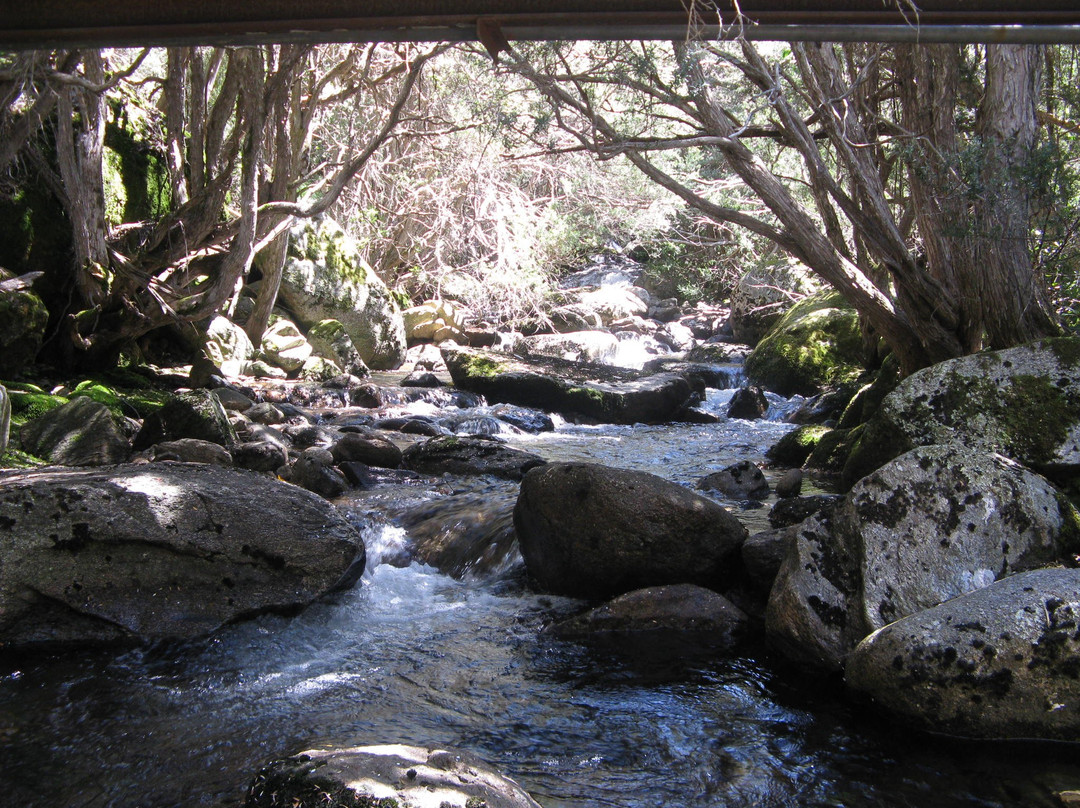 White Manor Motel主图