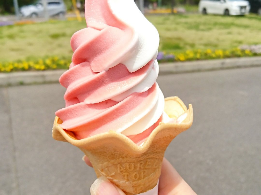 Mibu Parking Area Westbound and Eastbound