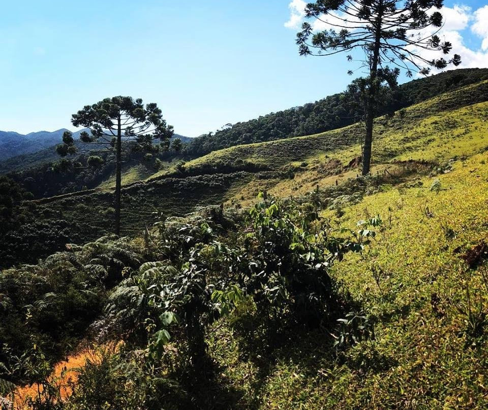 Serra da Bocaina - Bananal - São Paulo景点图片