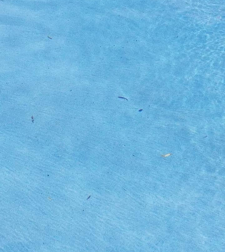 Sleep Inn & Suites Palatka North主图