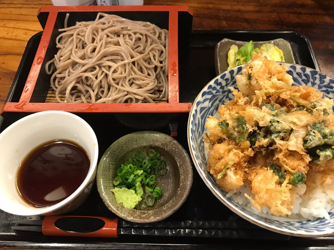 天藤