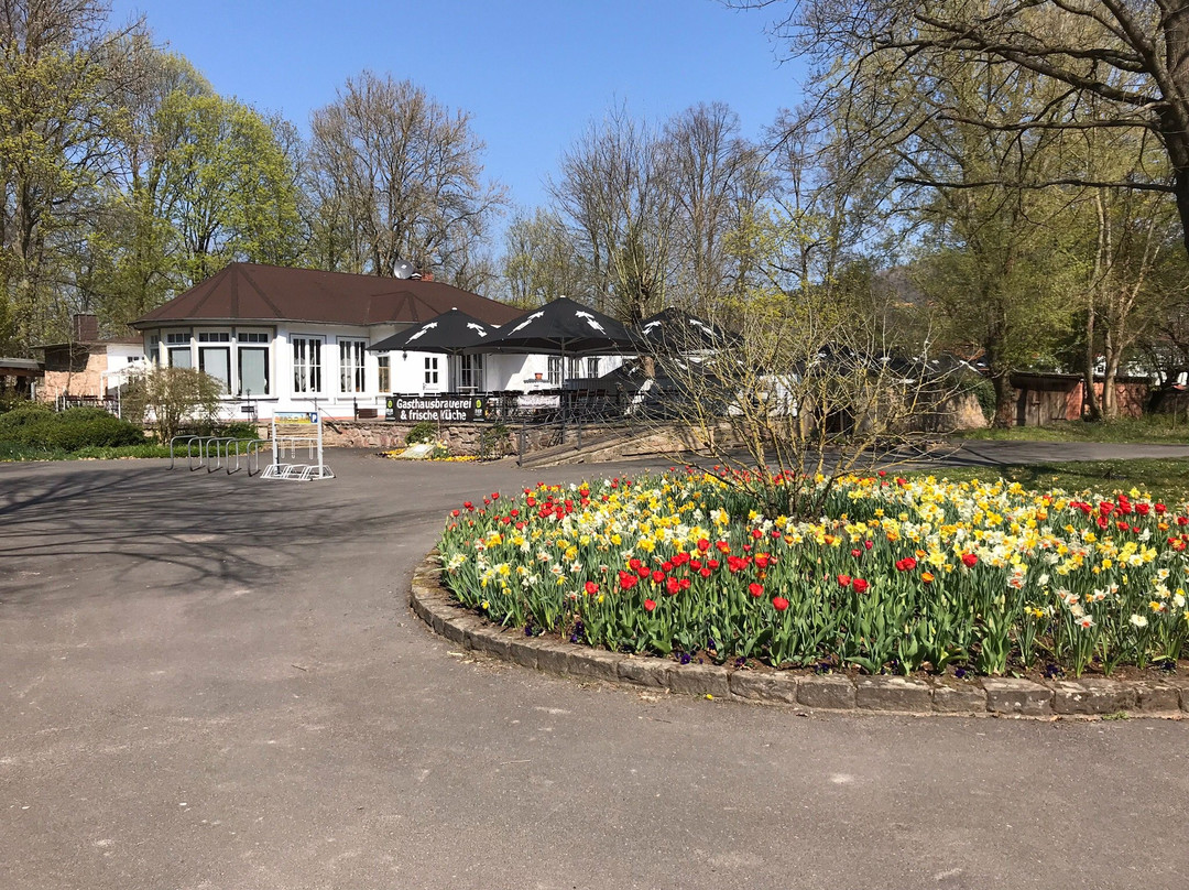 Minigolf im Rotenburger Schlosspark-Rotenburg an der Fulda必去景点