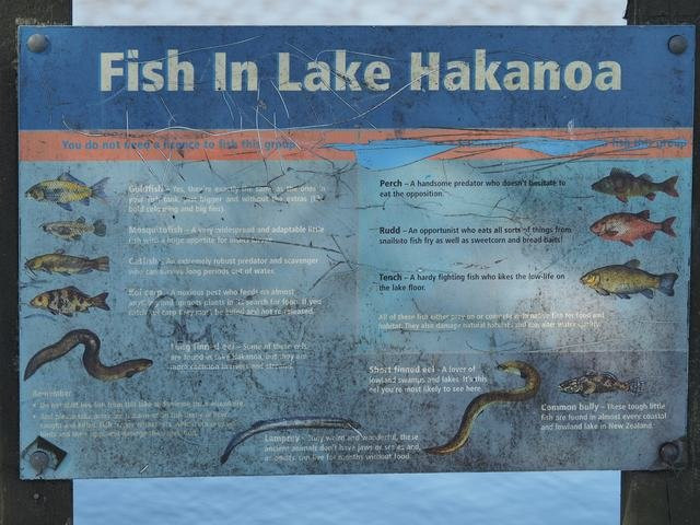 Lake Hakanoa Walkway-Huntly必去景点