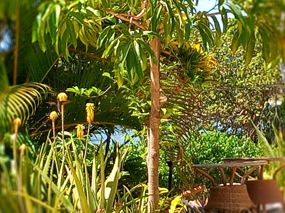 Sandy's By The Sea主图