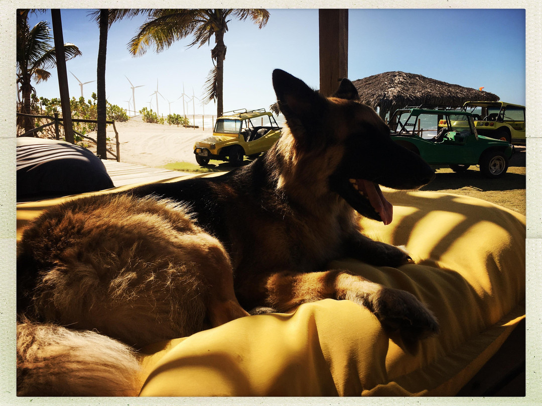 Ecole de Kitesurf Icarai de Amontada - Cabana Do Kite Icaraizinho-Icarai de Amontada必去景点