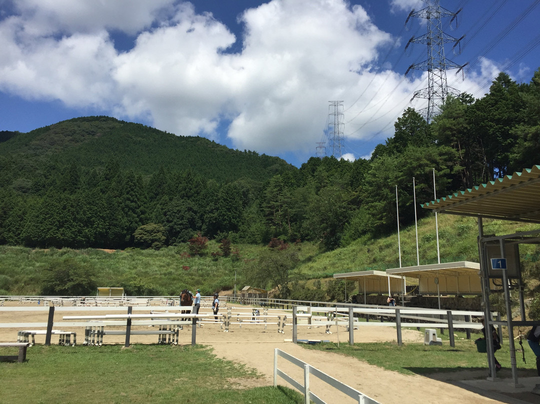 Horse Riding Club Crane Osaka景点图片