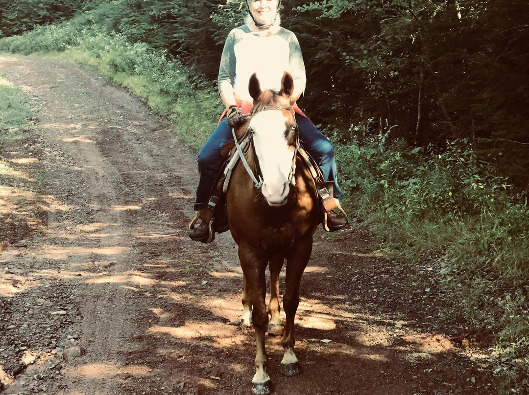 Shelby Ranch-Scotsburn必去景点