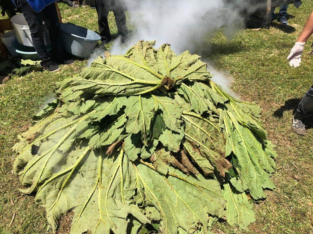 Eco Hospedaje Pinguineras主图