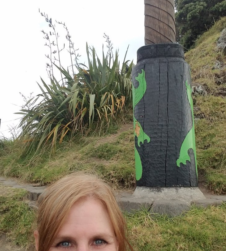 Piha Ocean Lookout主图