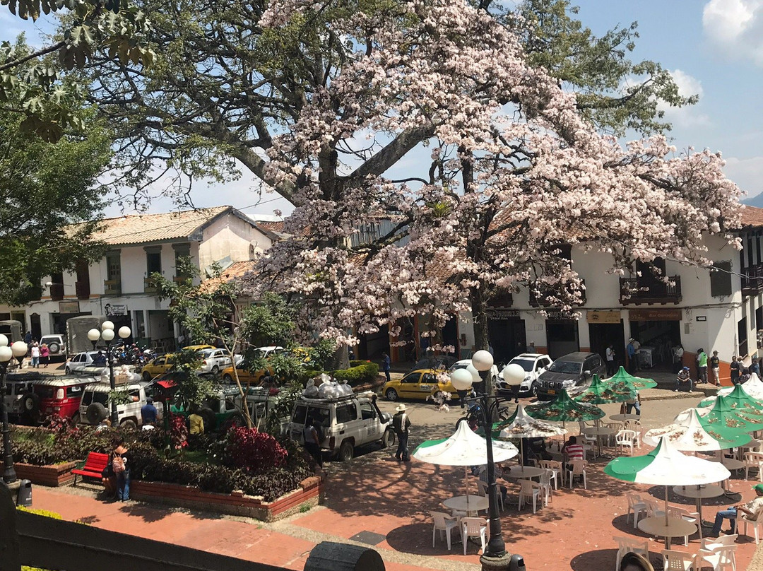 Hecho en Jerico-Jerico必去景点