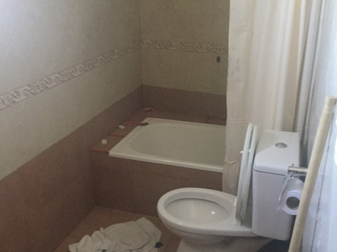 Hotel Anzoategui主图