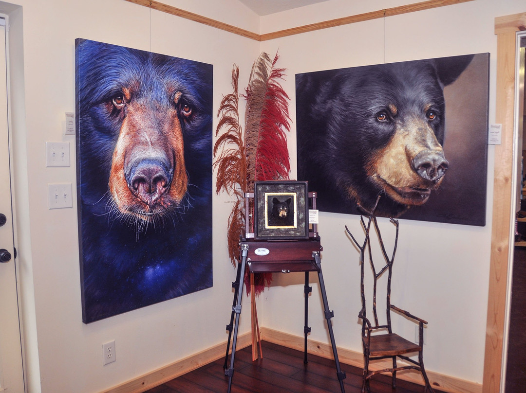 Highlander Gallery-Brasstown必去景点