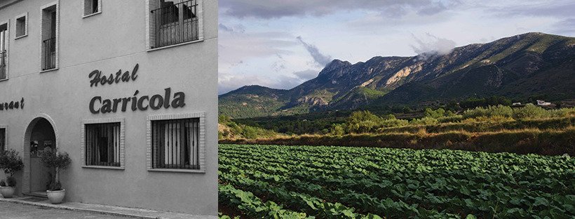 Hostal Carricola-官方