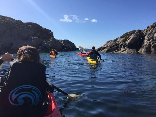 Lofoten Diving景点图片