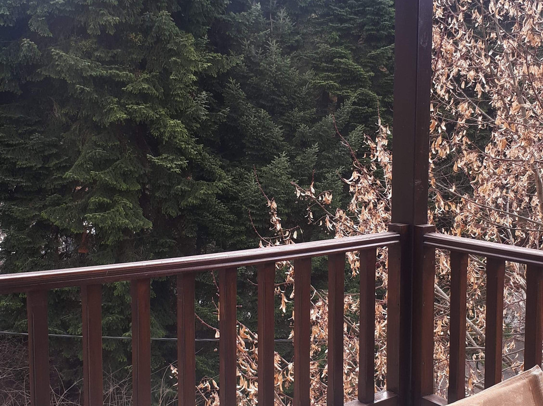 Giamandes Hotel主图