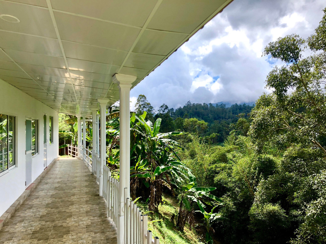 Green Hills Holiday主图