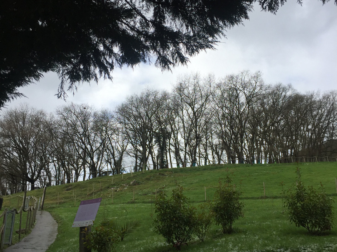 Arcos de Quejana Hotel & Restaurant主图