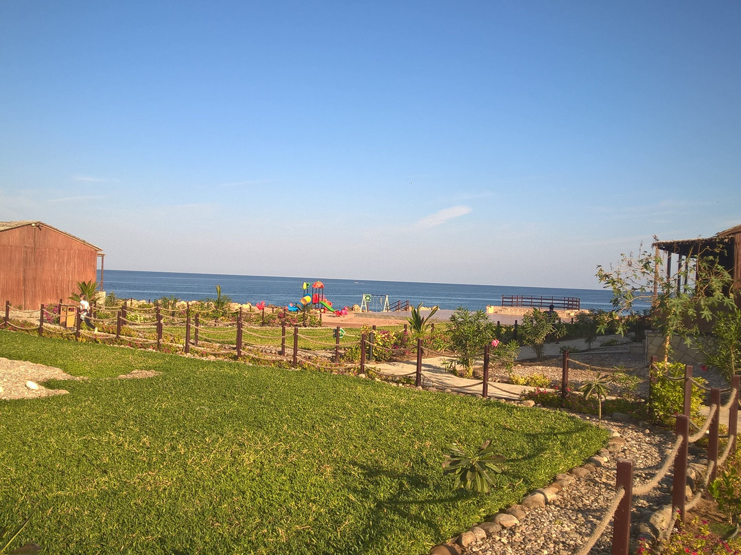 Turtle Beach Resort主图