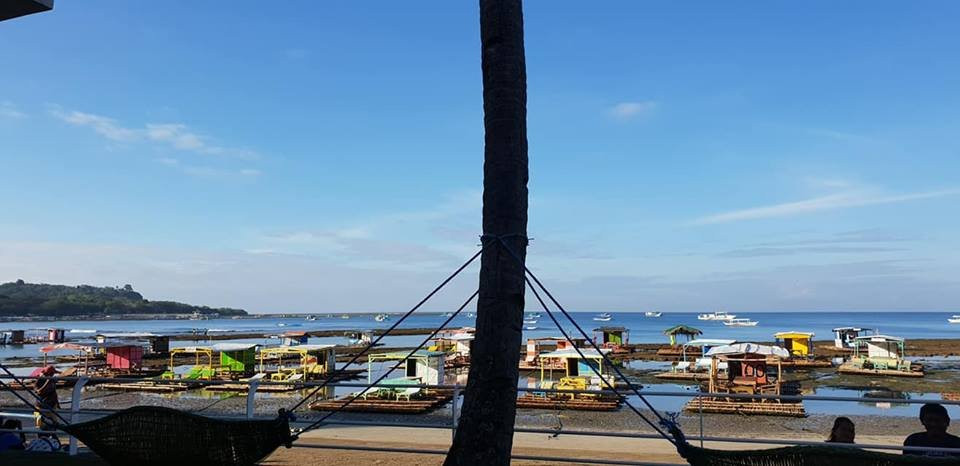 珊瑚海滩俱乐部酒店主图