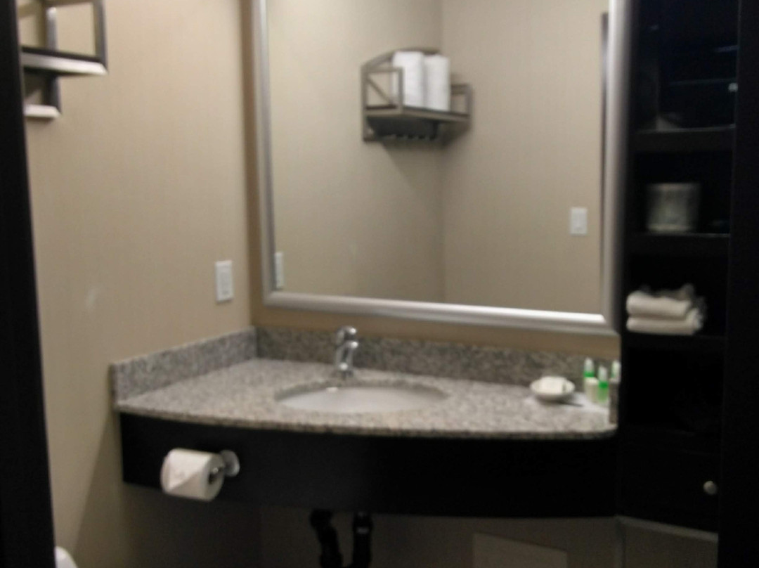 卡尔加里机场欢悦酒店主图