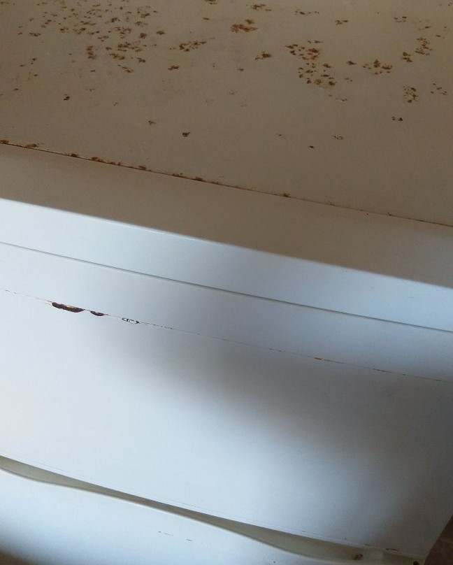 Terrazas de la Pedrera APT Hotel主图