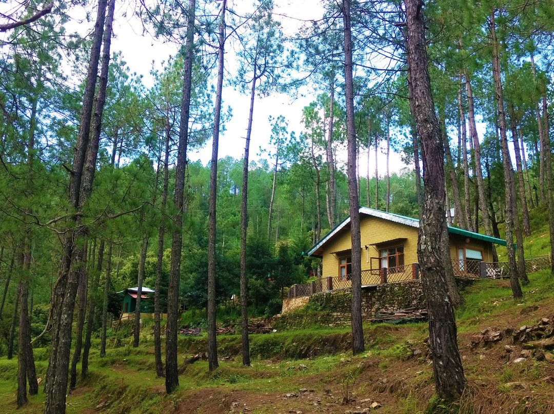 Chestnut Grove Himalayan Lodge