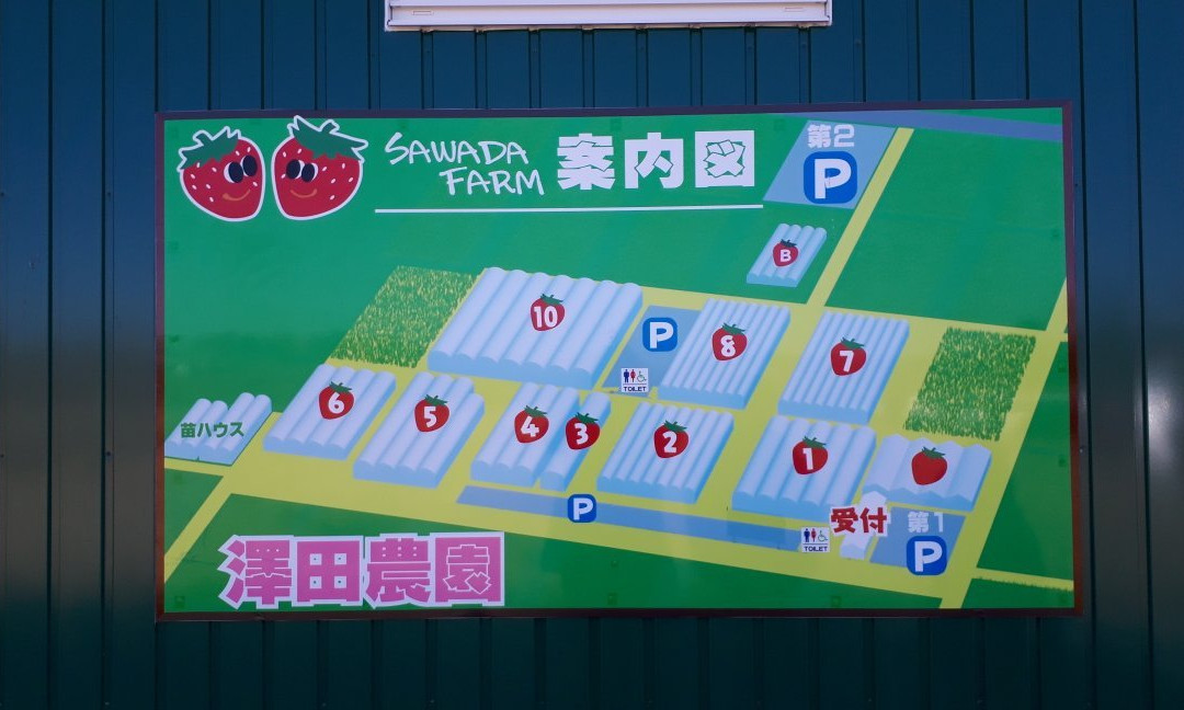 Sawada Farm-半田市必去景点