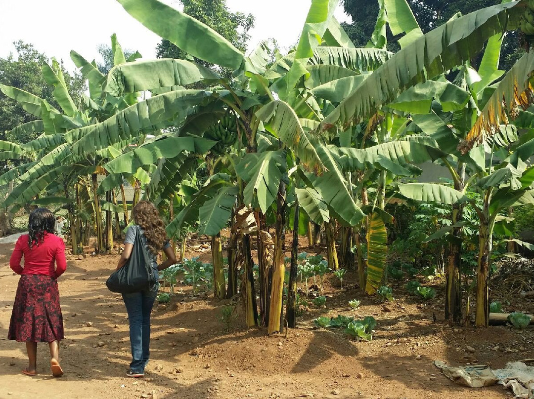 Kasangati Resort Center主图