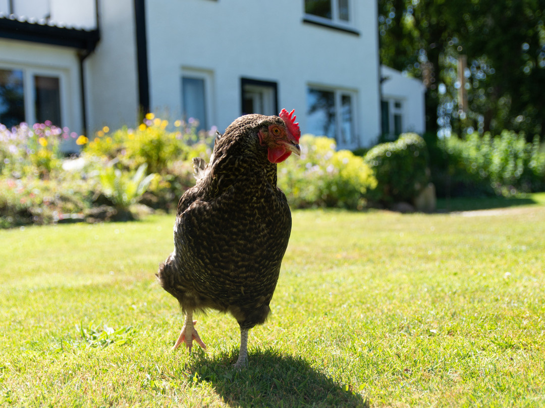 Loch Gruinart House主图