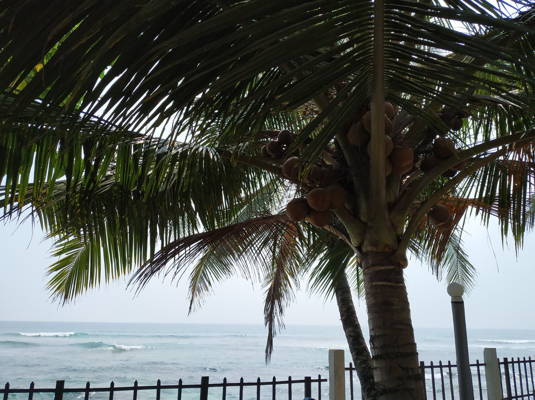 Rainbow Surf Beach主图