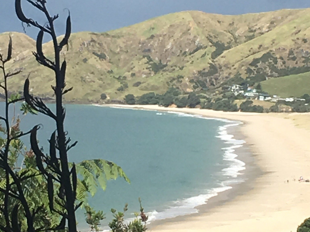 Otama Beach景点图片