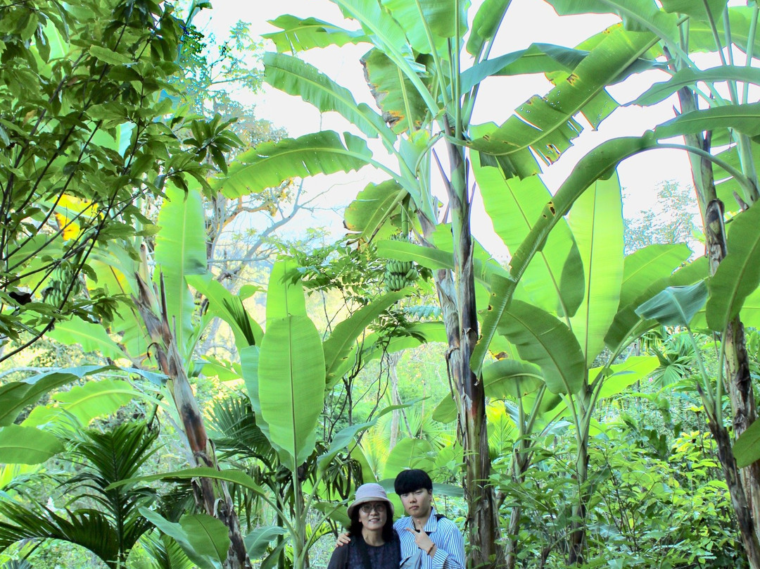 Rosewood Luang Prabang主图