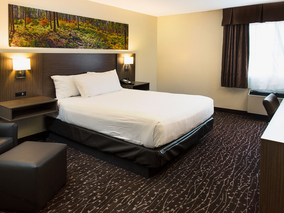 Days Inn & Conference Centre by Wyndham Prince Albert主图