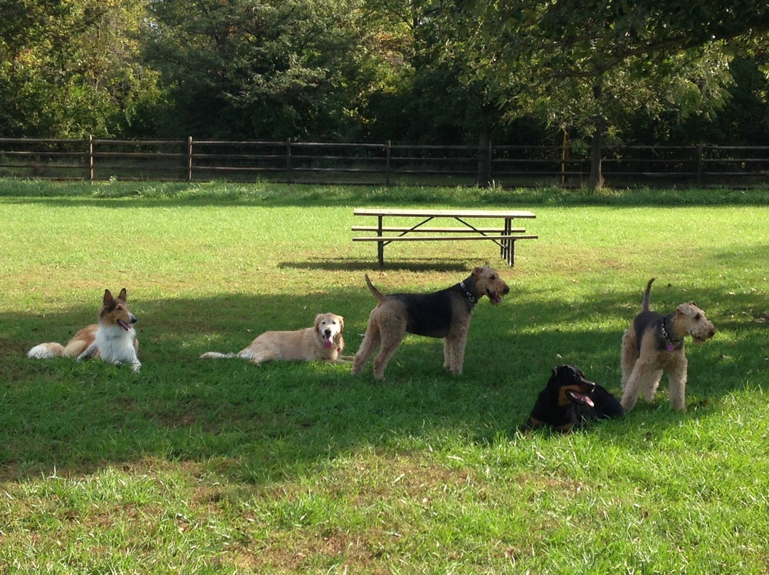 Fetch Dog Park-Danville必去景点