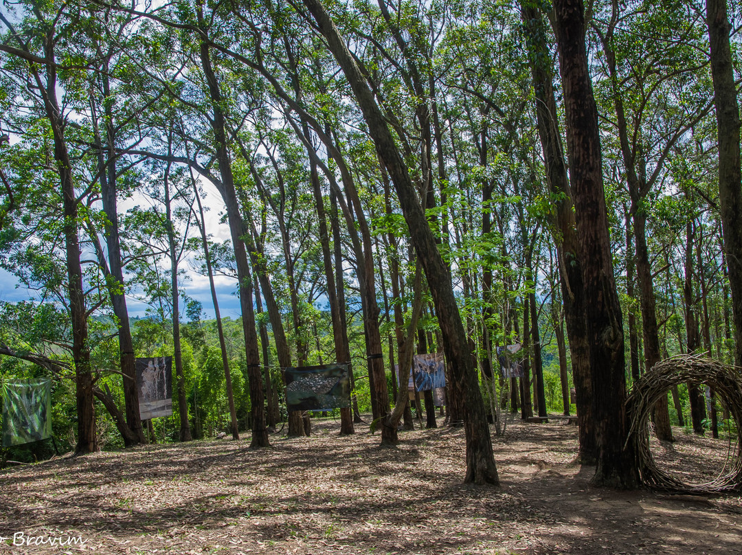 Uaná Etê Jardim Ecológico景点图片