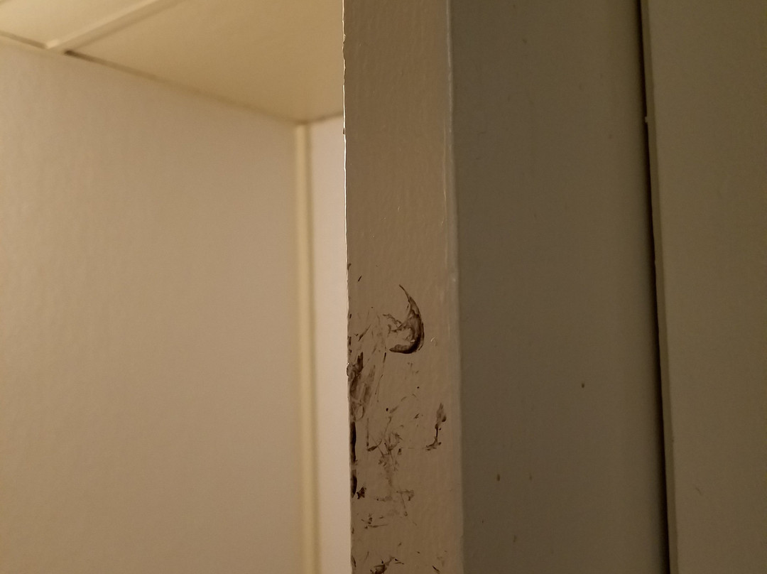 卡阿纳帕利海洋酒店主图